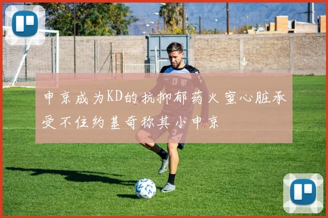 申京成为KD的抗抑郁药火蜜心脏承受不住约基奇称其小申京